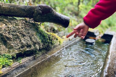 Ein Kind hält den Finger unter einen Wasserstrahl, der aus einem vermoosten Holzbrunnen inmitten der Natur fließt. | © Patricia Pritz
