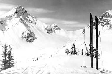 © Archiv Michael Beck