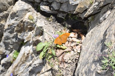 Geführte Wanderung ins Gadental | © Dajana Baumgartner