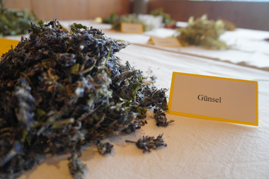 Bergteezeit im Großen Walsertal | © Dajana Baumgartner