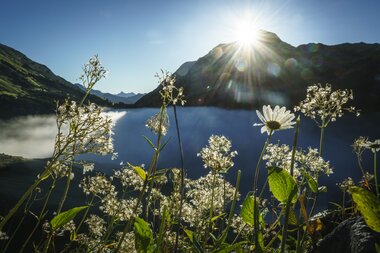 © Dietmar Denger - Vorarlberg Tourismus