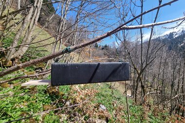 © Naturschutzverein Verwall Klostertaler Bergwälder