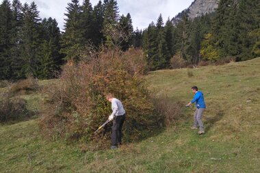 © Naturvielfalttage - Naturschutzverein Verwall Klostertaler Bergwälder