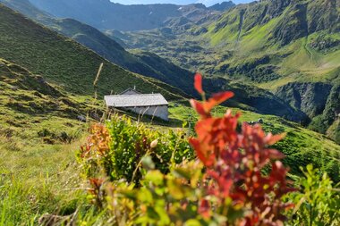 © Naturschutzverein Verwall Klostertaler Bergwälder