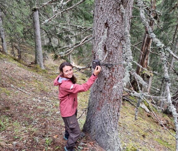 © Naturschutzverein Verwall Klostertaler Bergwälder