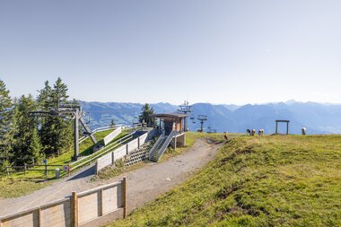 © © Roman Noestler