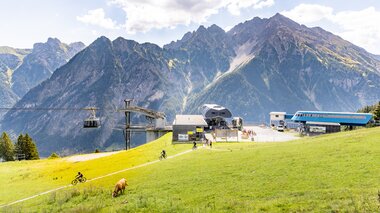 © © Roman Noestler