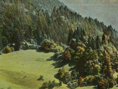 © (c) Christof Thöny