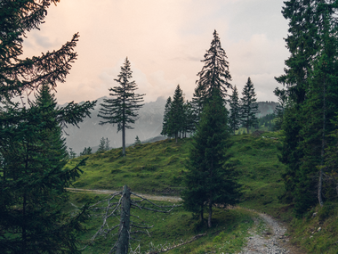 © Thorsten Günthert