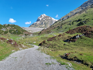 © Danja Sutterlüty