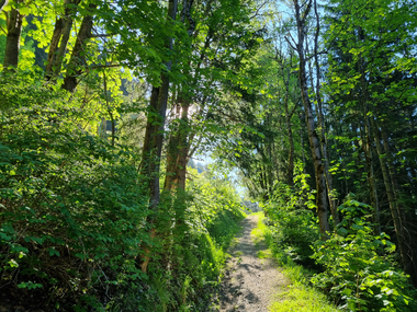 © Danja Sutterlüty