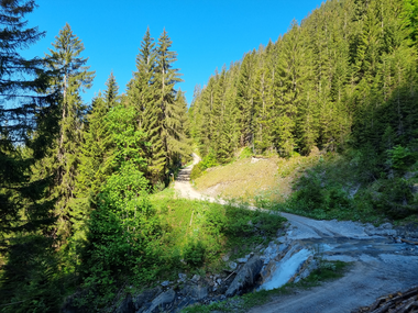 © Danja Sutterlüty