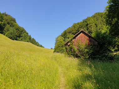 © Danja Sutterlüty