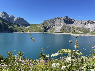 © Dajana Baumgartner