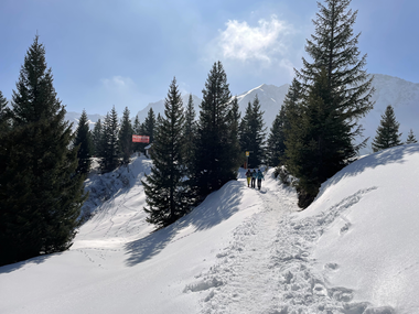 © Dajana Baumgartner