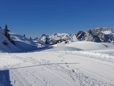 © Danja Sutterlüty