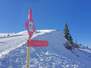 © Danja Sutterlüty