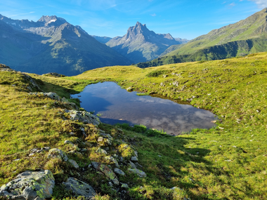 © Danja Sutterlüty